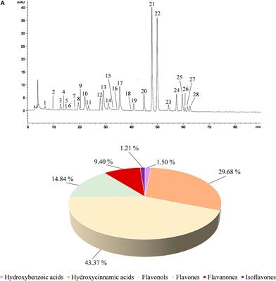 Antioxidant, Anti-Inflammatory and Anti-Angiogenic Properties of Citrus lumia Juice